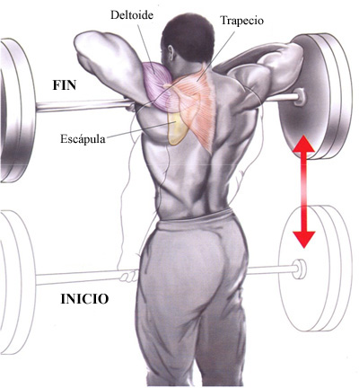 Anabolicos naturales para masa muscular